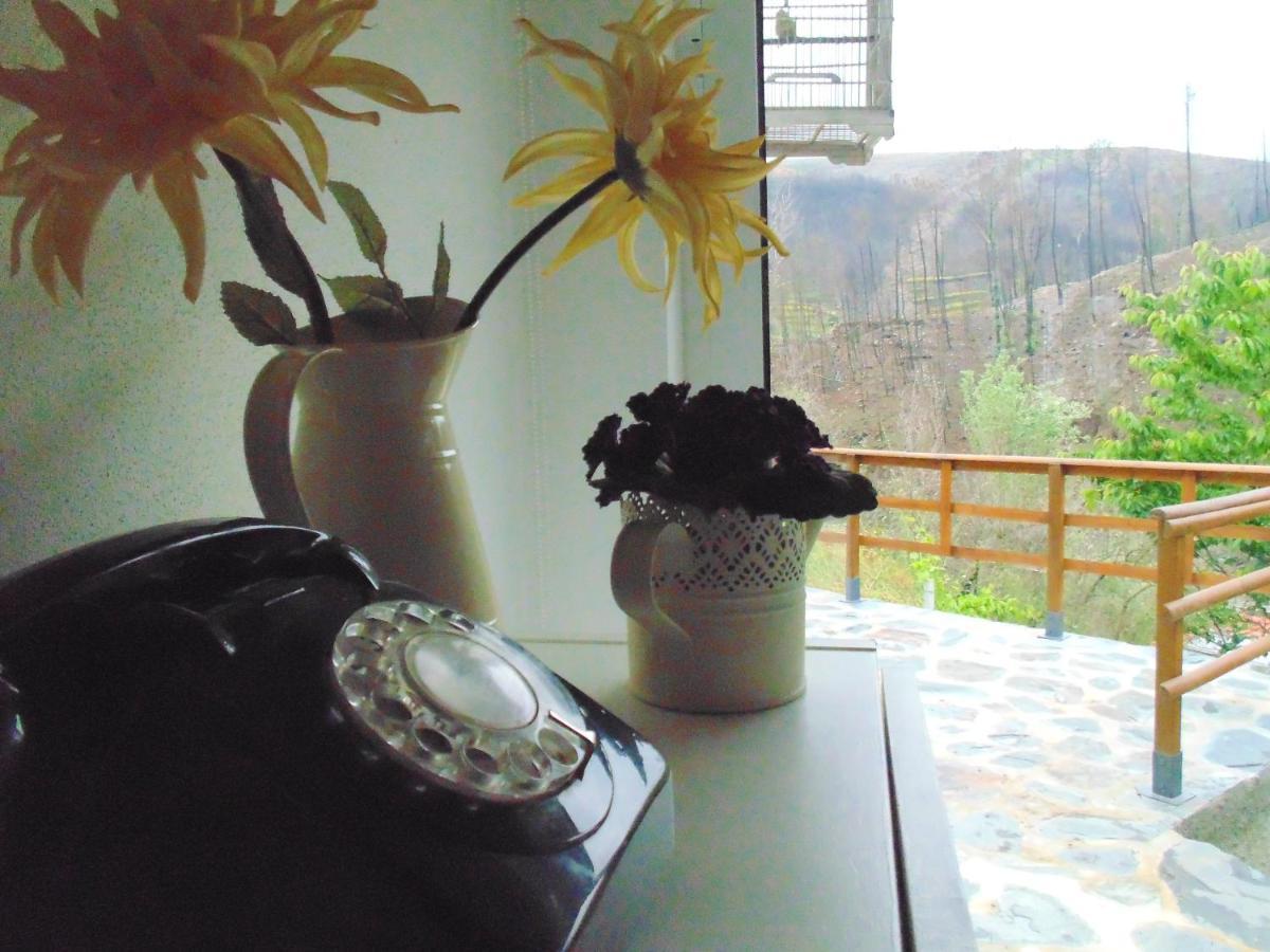 Casa Do Alto - Benfeita Bed & Breakfast Екстериор снимка