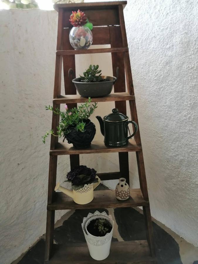 Casa Do Alto - Benfeita Bed & Breakfast Екстериор снимка